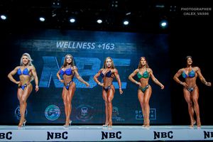 WELLNESS +163
